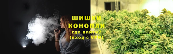 дживик Инсар