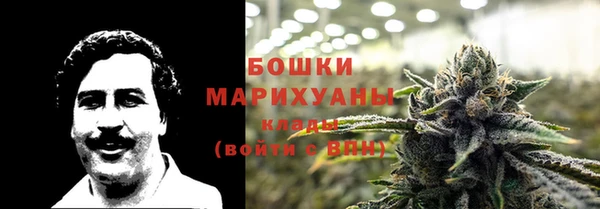 дживик Инсар