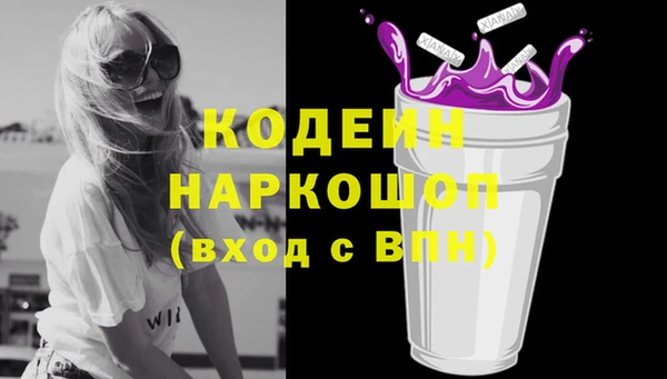 2c-b Инта