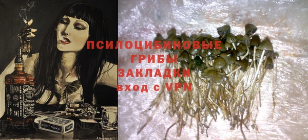 дживик Инсар