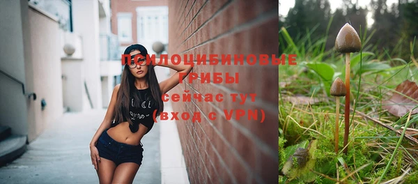 дживик Инсар